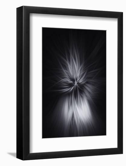 Trinity Collection 88-Philippe Saint-Laudy-Framed Photographic Print