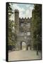 Trinity College Great Gate-null-Framed Stretched Canvas