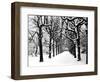 Trinity College, Oxford, Oxfordshire-Henry Taunt-Framed Photographic Print