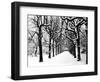 Trinity College, Oxford, Oxfordshire-Henry Taunt-Framed Photographic Print