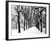 Trinity College, Oxford, Oxfordshire-Henry Taunt-Framed Photographic Print