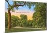 Trinity Park, Fort Worth, Texas-null-Mounted Premium Giclee Print