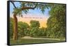 Trinity Park, Fort Worth, Texas-null-Framed Stretched Canvas