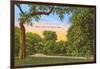 Trinity Park, Fort Worth, Texas-null-Framed Art Print