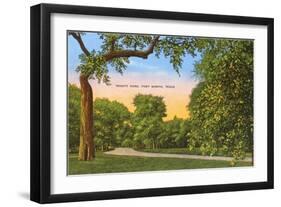 Trinity Park, Fort Worth, Texas-null-Framed Art Print