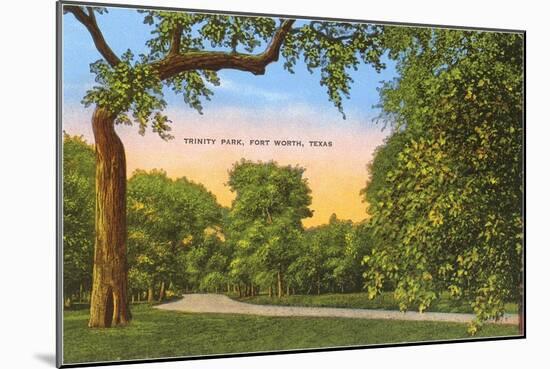 Trinity Park, Fort Worth, Texas-null-Mounted Art Print