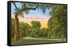 Trinity Park, Fort Worth, Texas-null-Framed Stretched Canvas