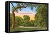 Trinity Park, Fort Worth, Texas-null-Framed Stretched Canvas