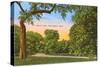 Trinity Park, Fort Worth, Texas-null-Stretched Canvas