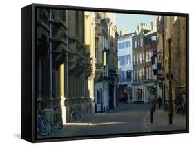 Trinity Street, Cambridge, Cambridgeshire, England, United Kingdom, Europe-Tomlinson Ruth-Framed Stretched Canvas