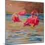 Trio Flamingos-Ormsby, Anne Ormsby-Mounted Art Print