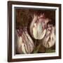 Trio I-Pamela Gladding-Framed Art Print