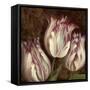 Trio I-Pamela Gladding-Framed Stretched Canvas