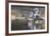 Trio in Flight-Staffan Widstrand-Framed Giclee Print