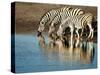 Trio of Common Zebras (Equus Burchelli) at a Water Hole, Etosha National Park, Namibia, Africa-Kim Walker-Stretched Canvas