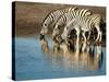 Trio of Common Zebras (Equus Burchelli) at a Water Hole, Etosha National Park, Namibia, Africa-Kim Walker-Stretched Canvas