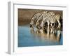 Trio of Common Zebras (Equus Burchelli) at a Water Hole, Etosha National Park, Namibia, Africa-Kim Walker-Framed Photographic Print