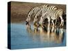 Trio of Common Zebras (Equus Burchelli) at a Water Hole, Etosha National Park, Namibia, Africa-Kim Walker-Stretched Canvas