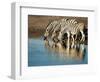 Trio of Common Zebras (Equus Burchelli) at a Water Hole, Etosha National Park, Namibia, Africa-Kim Walker-Framed Photographic Print