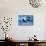 Trio of Dolphins-Amos Nachoum-Mounted Photographic Print displayed on a wall