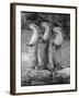 Trio of Otters-null-Framed Photographic Print