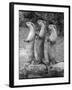 Trio of Otters-null-Framed Photographic Print