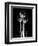 Trio Tulip Xray-Albert Koetsier-Framed Art Print