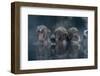 Trio-Takeshi Marumoto-Framed Photographic Print