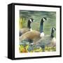 Trio-Annelein Beukenkamp-Framed Stretched Canvas