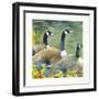 Trio-Annelein Beukenkamp-Framed Giclee Print