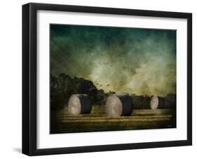 Trio-Barbara Simmons-Framed Photographic Print