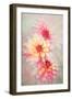 Trio-Jacky Parker-Framed Giclee Print