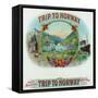 Trip to Norway Brand Cigar Box Label, Nautical-Lantern Press-Framed Stretched Canvas