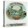 Trip to Norway Brand Cigar Box Label, Nautical-Lantern Press-Stretched Canvas