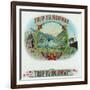 Trip to Norway Brand Cigar Box Label, Nautical-Lantern Press-Framed Art Print