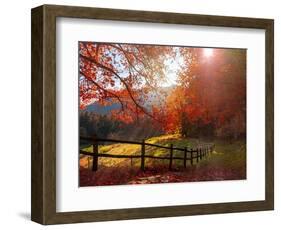 Trip to the countryside-Marco Carmassi-Framed Photographic Print