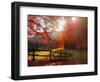 Trip to the countryside-Marco Carmassi-Framed Photographic Print