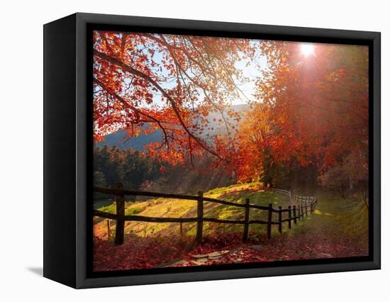 Trip to the countryside-Marco Carmassi-Framed Stretched Canvas
