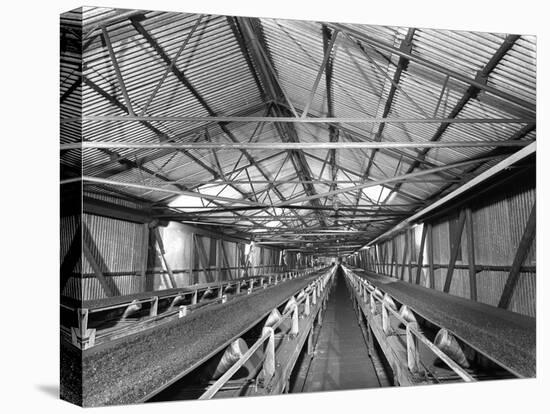 Triple Conveyors at Manvers Main Coal Preparation Plant, Wath Upon Dearne, South Yorkshire, 1956-Michael Walters-Stretched Canvas
