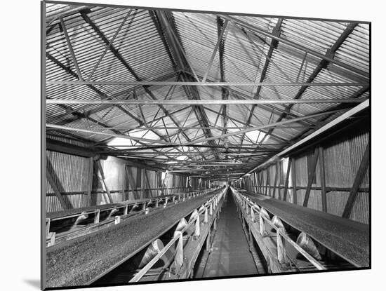 Triple Conveyors at Manvers Main Coal Preparation Plant, Wath Upon Dearne, South Yorkshire, 1956-Michael Walters-Mounted Photographic Print