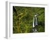 Triple Falls in the Mount Hood National Forest, Oregon, USA-Chuck Haney-Framed Photographic Print