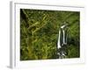 Triple Falls in the Mount Hood National Forest, Oregon, USA-Chuck Haney-Framed Photographic Print