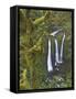 Triple Falls on Oneonta Creek, Columbia River Gorge, Oregon, USA-William Sutton-Framed Stretched Canvas