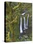 Triple Falls on Oneonta Creek, Columbia River Gorge, Oregon, USA-William Sutton-Stretched Canvas