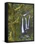 Triple Falls on Oneonta Creek, Columbia River Gorge, Oregon, USA-William Sutton-Framed Stretched Canvas