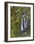 Triple Falls on Oneonta Creek, Columbia River Gorge, Oregon, USA-William Sutton-Framed Photographic Print