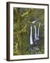 Triple Falls on Oneonta Creek, Columbia River Gorge, Oregon, USA-William Sutton-Framed Photographic Print