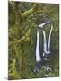 Triple Falls on Oneonta Creek, Columbia River Gorge, Oregon, USA-William Sutton-Mounted Photographic Print