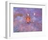 Triple Fin-null-Framed Photographic Print