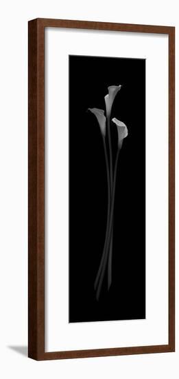 Triple Grace, 2006-Hiroyuki Arakawa-Framed Photographic Print